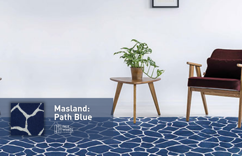 masland area rug paul white company